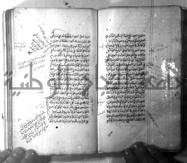 شرح الشافية 