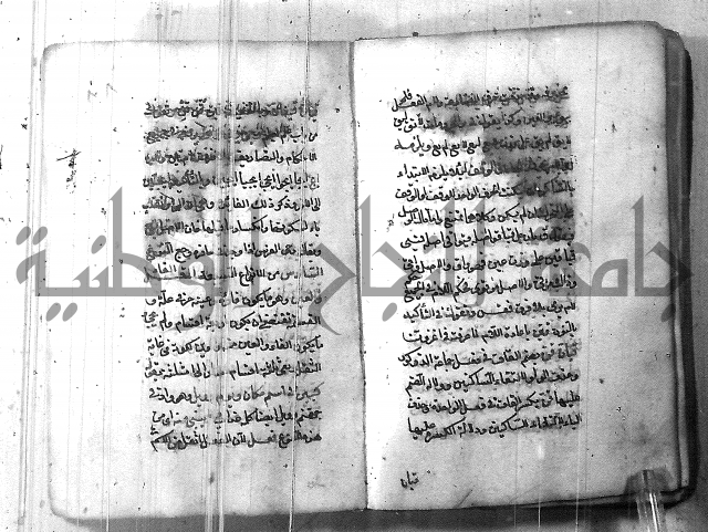 التفنن في الصرف