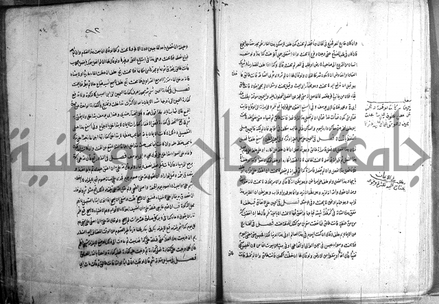 حاوي مسايل المنيه