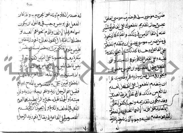 شرح مقدمة قطر الندى وبل الصدى