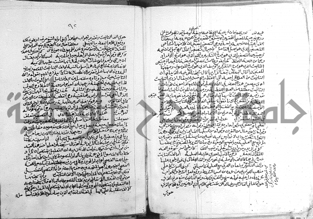 كتاب في اللغة العربية