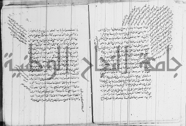 نحو - شرح الكافية