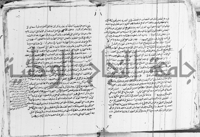 الزيادي على المنهج 