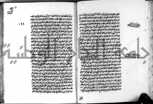 الجواهر الدورية في تنقيح الفتاوى الحامدية ج2 