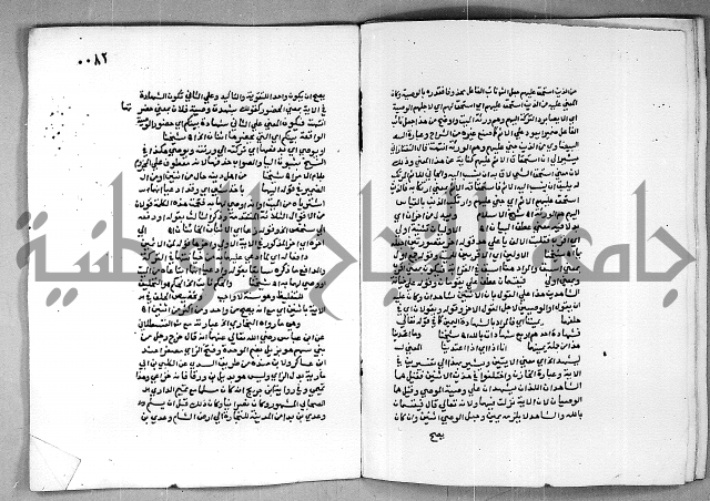 حاشية الجمل على الجلالين 