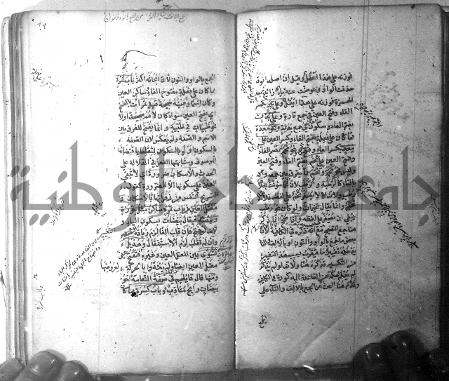 شرح الشافية 