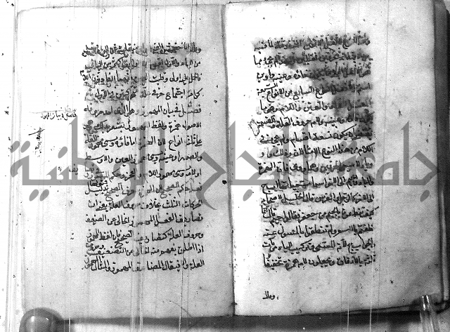 التفنن في الصرف