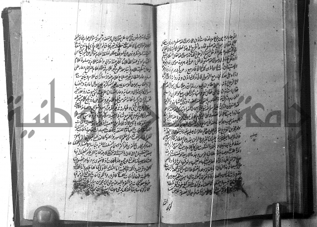 الطريقة المحمدية 