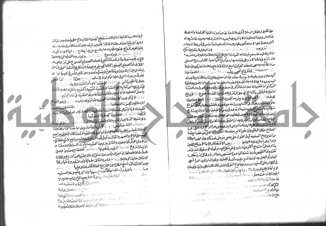 شرح الرملي 3