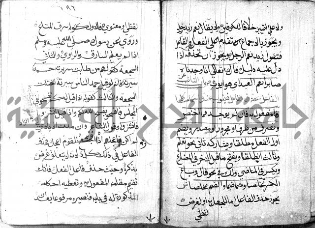 شرح مقدمة قطر الندى وبل الصدى