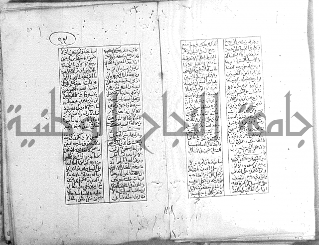 خلاصة التنوير 