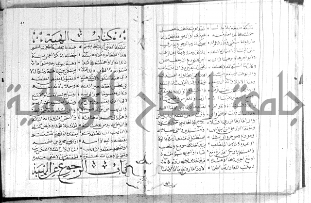 نظم كنز الدقائق