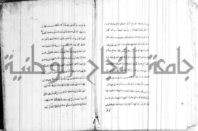 ضوء في علم النحو