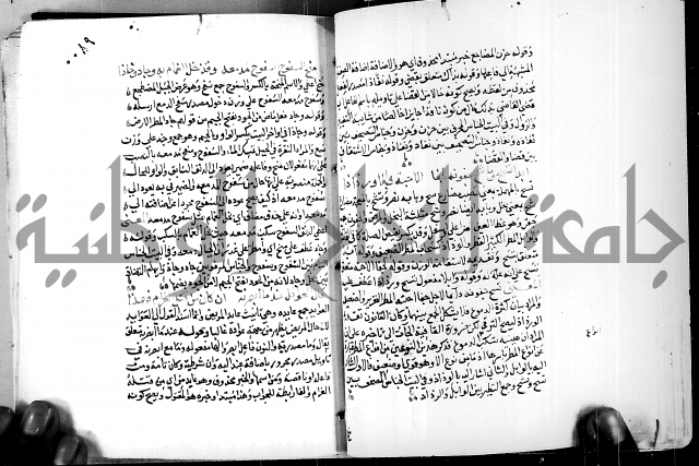 البحر الفائض في شرح ديوان ابن الفارض البوريني 