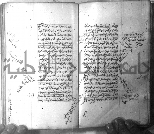 شرح الشافية 