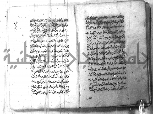 التفنن في الصرف