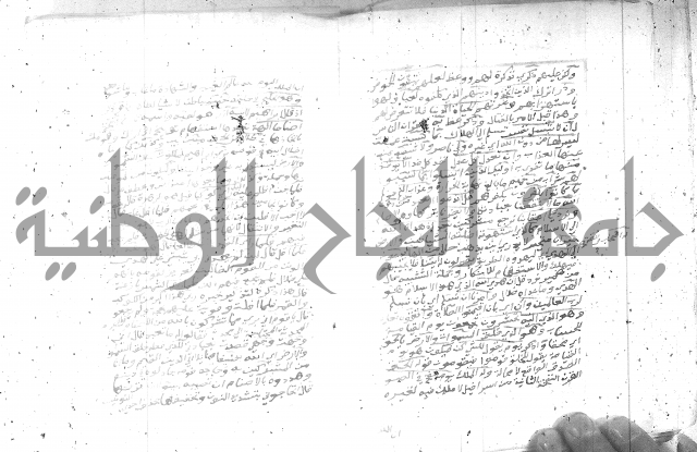 تفسير الجلالين 