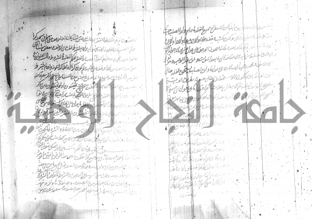 البسيط في الشروط