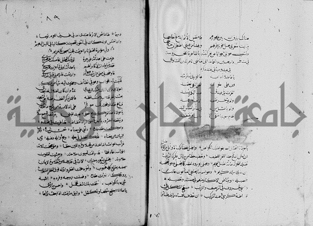 كتاب في الادب 