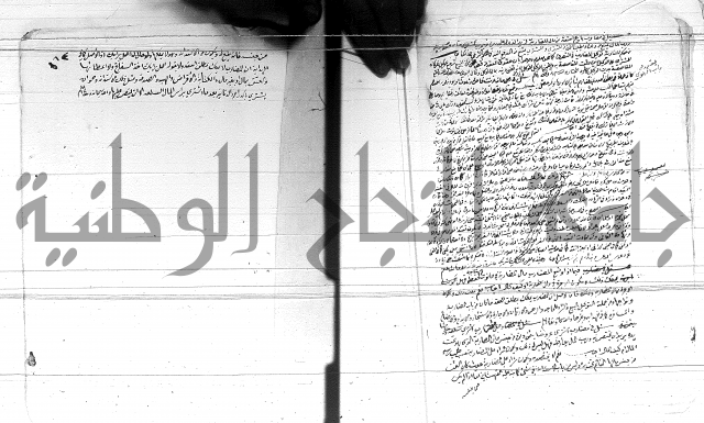 الفتاوى الحسينية