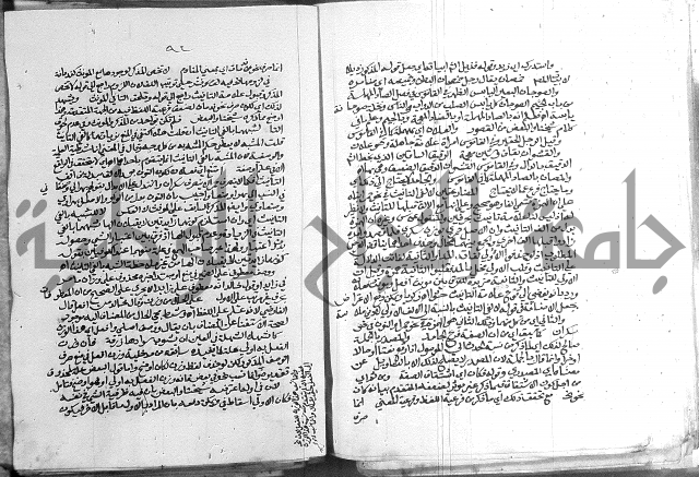 كتاب في اللغة العربية