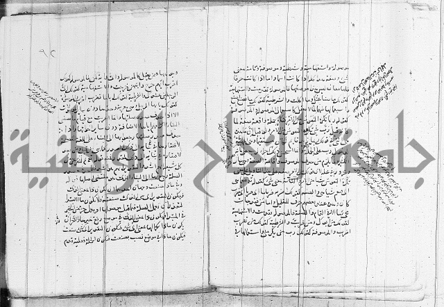 نحو - شرح الكافية