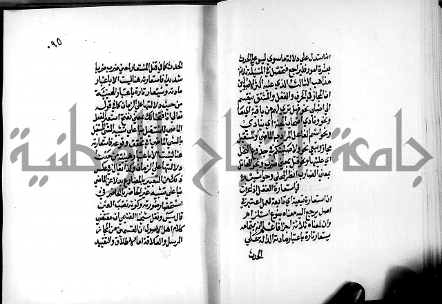 الرسالة البيانية