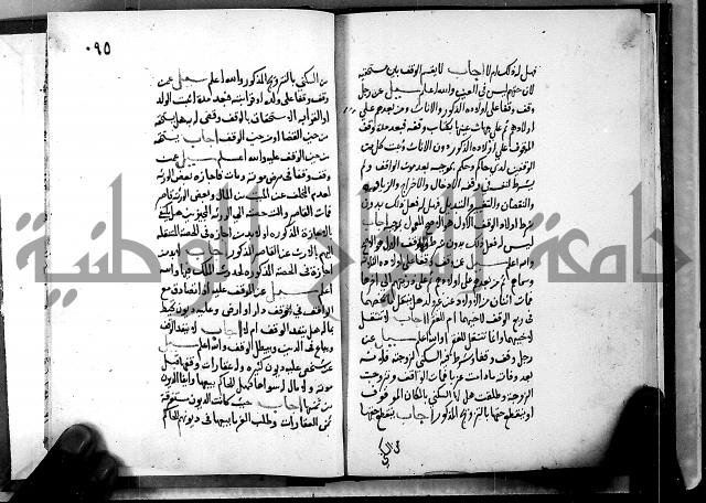 الفتاوى الامينية