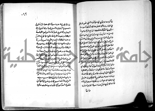 شرح شذور الذهب في معرفة كلام العرب 