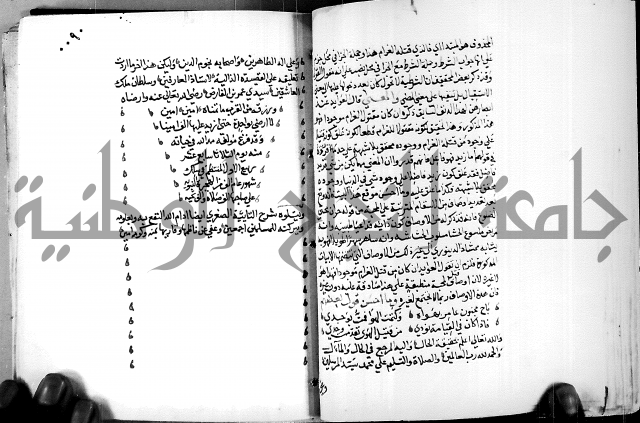 البحر الفائض في شرح ديوان ابن الفارض البوريني 