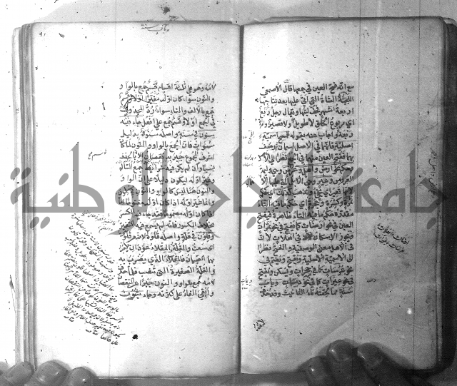 شرح الشافية 