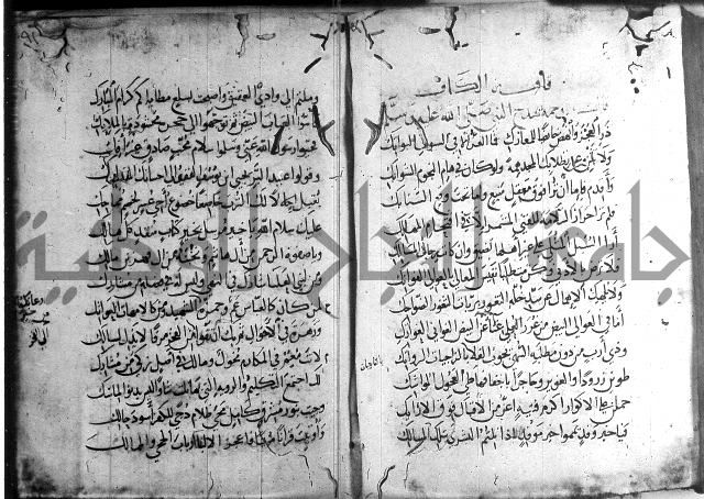 ديوان الصرصري