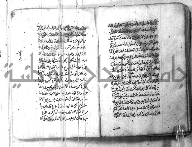 التفنن في الصرف