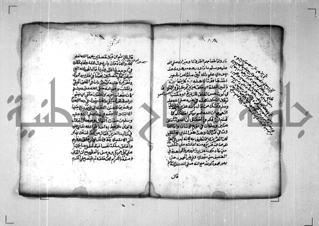 شرح الهمزية  