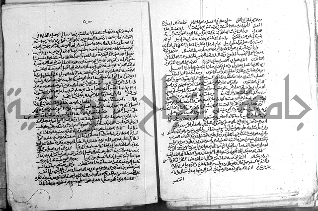 كتاب في اللغة العربية