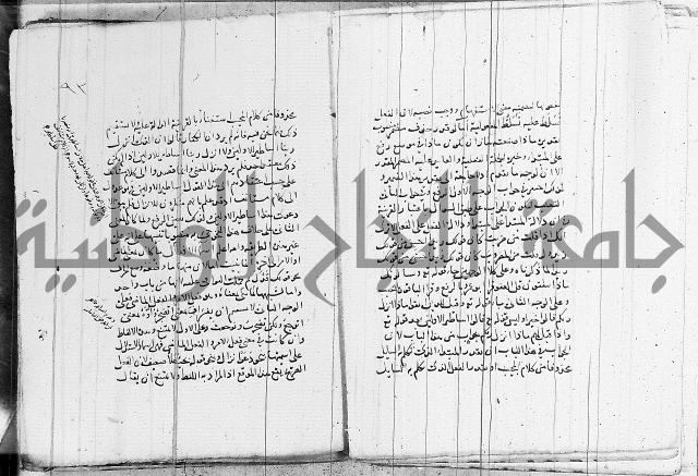 نحو - شرح الكافية