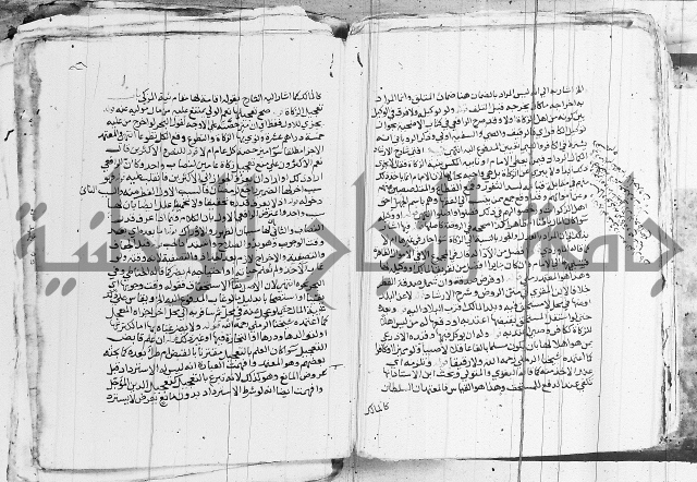 الزيادي على المنهج 