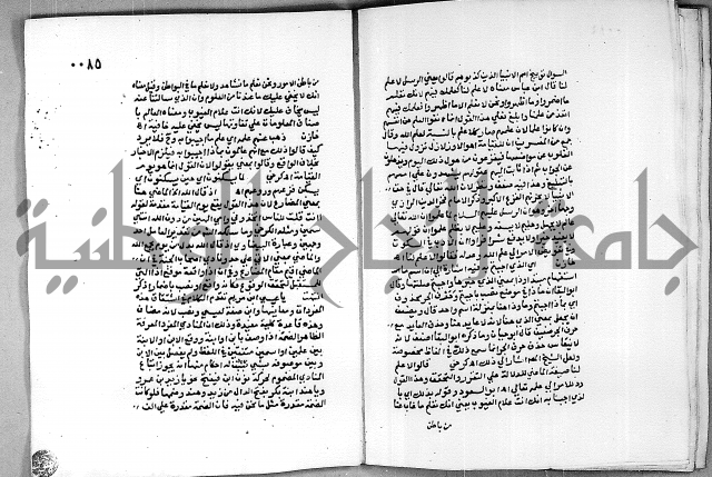 حاشية الجمل على الجلالين 