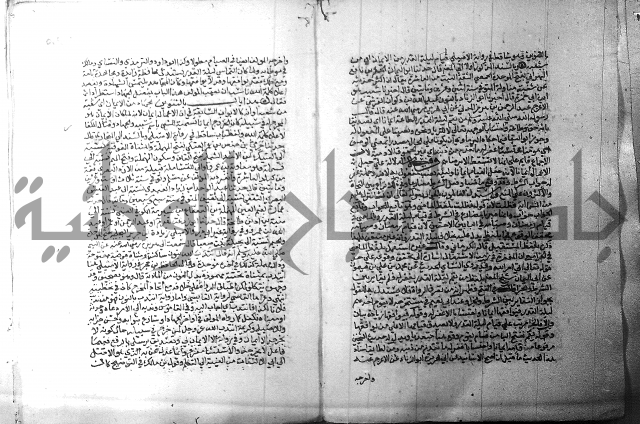 ارشاد الساري 1 