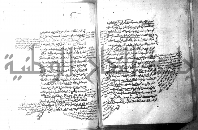 شرح الاشموني على الافية