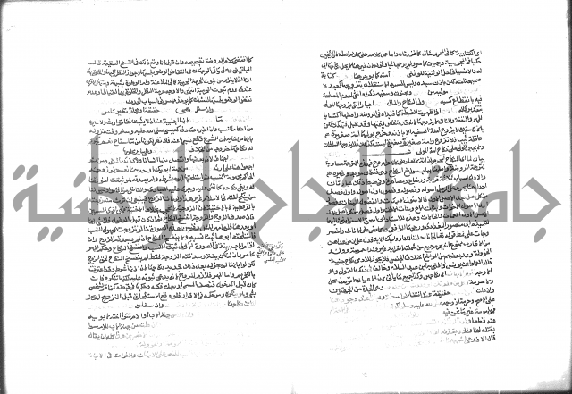 شرح الرملي 3