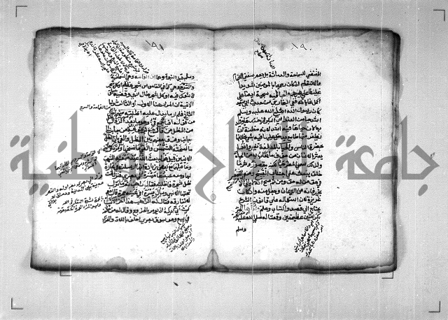 شرح الهمزية  