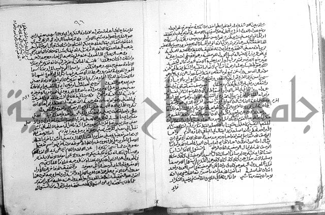 كتاب في اللغة العربية