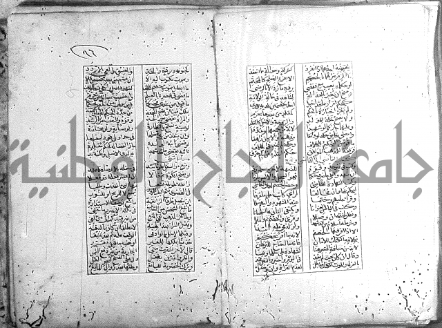 خلاصة التنوير 