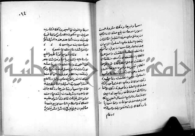 شرح شذور الذهب في معرفة كلام العرب 