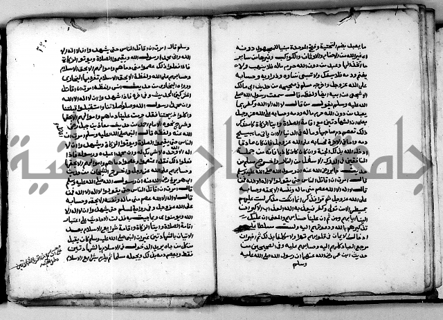 شرح ثلاثيات المسند ج 2 