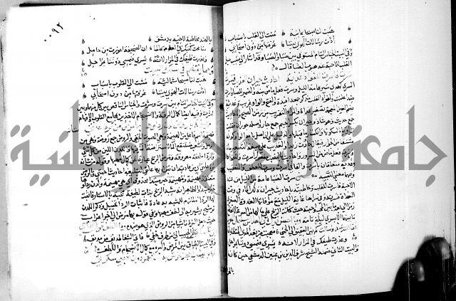 البحر الفائض في شرح ديوان ابن الفارض البوريني 