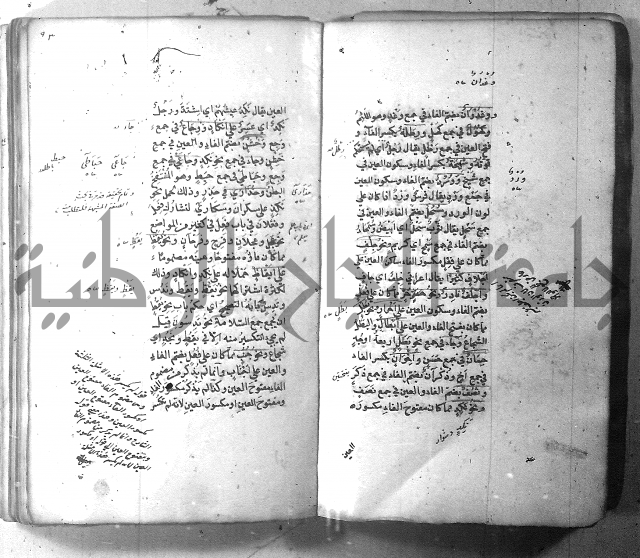 شرح الشافية 