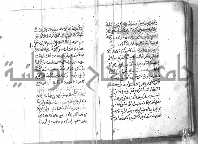 التفنن في الصرف