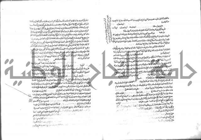 شرح الرملي 3